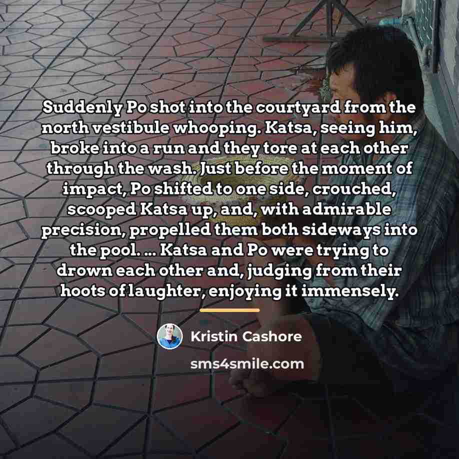 “Suddenly Po shot into the courtyard from the north vestibule…” quote by Kristin Cashore