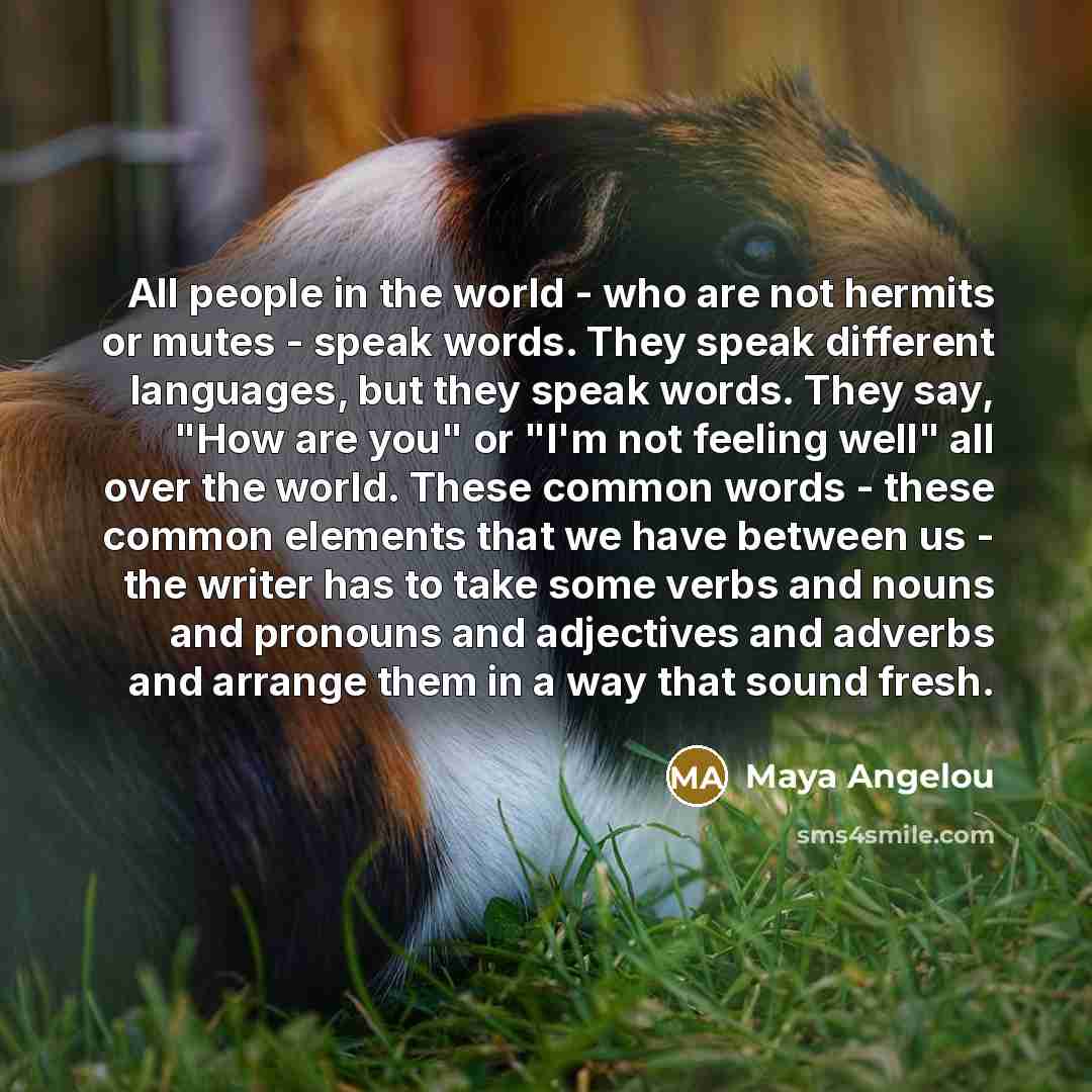 “All people in the world - who are not hermits…” quote by Maya Angelou