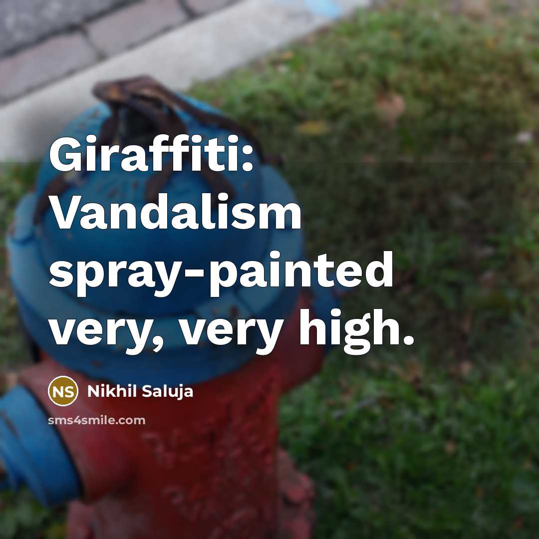 “Giraffiti: Vandalism spray-painted very, very high.…” quote by Nikhil Saluja