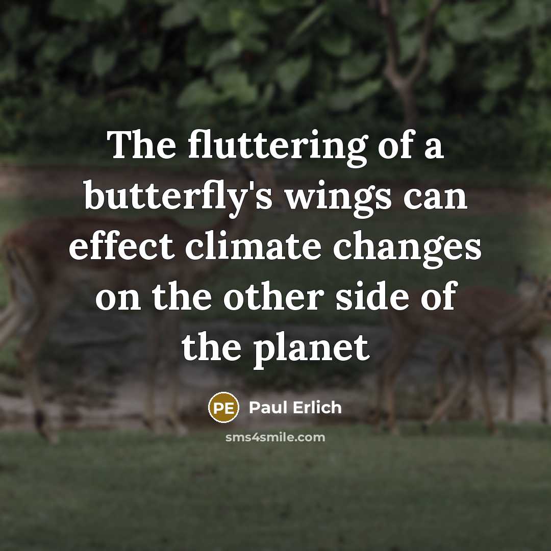 “The fluttering of a butterfly's wings can effect climate changes on the other side of the planet” quote by Paul Erlich