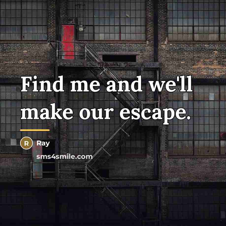 “Find me and we'll make our escape.…” quote by Ray