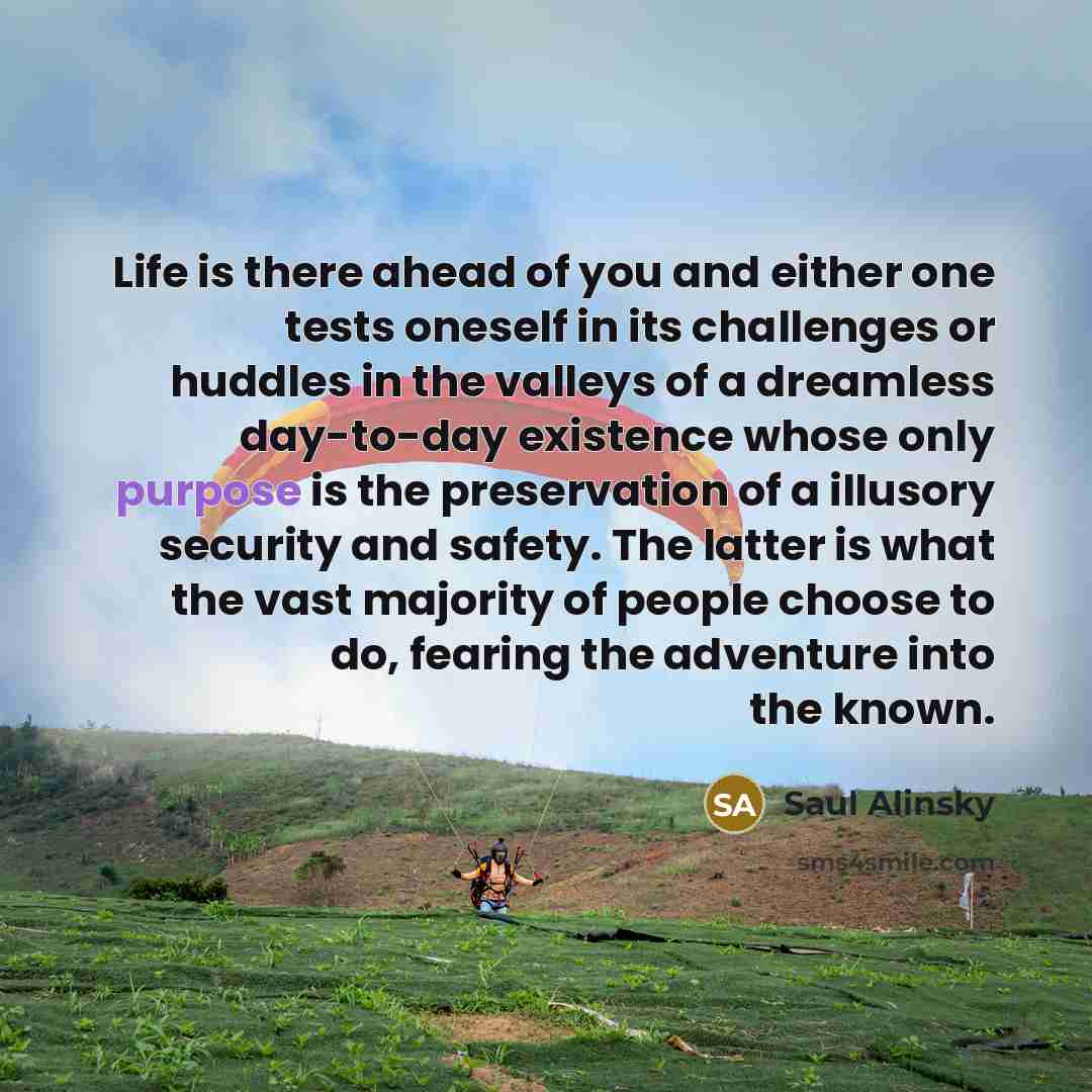 “Life is there ahead of you and either one tests…” quote by Saul Alinsky