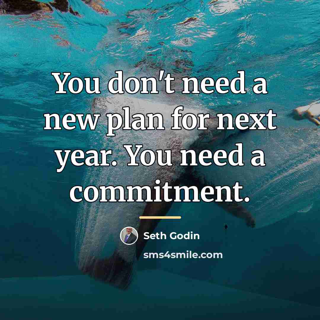 “You don't need a new plan for next year. You…” quote by Seth Godin