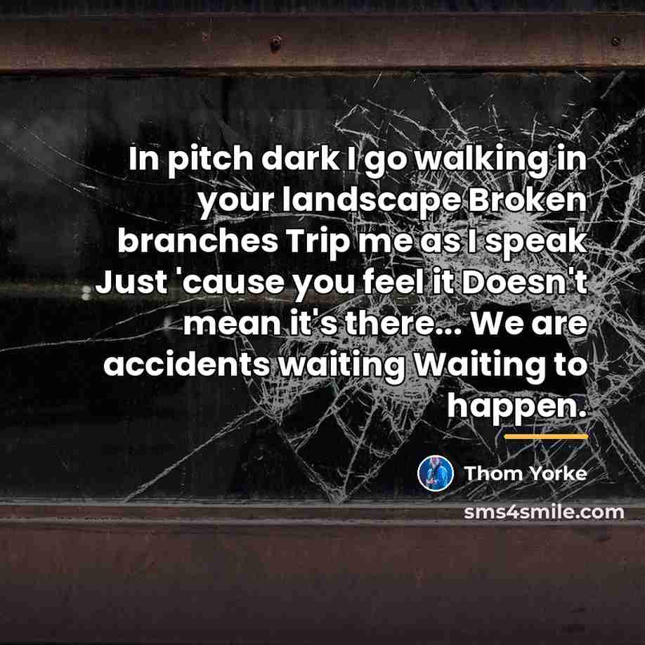 “In pitch dark I go walking in your landscape Broken…” quote by Thom Yorke