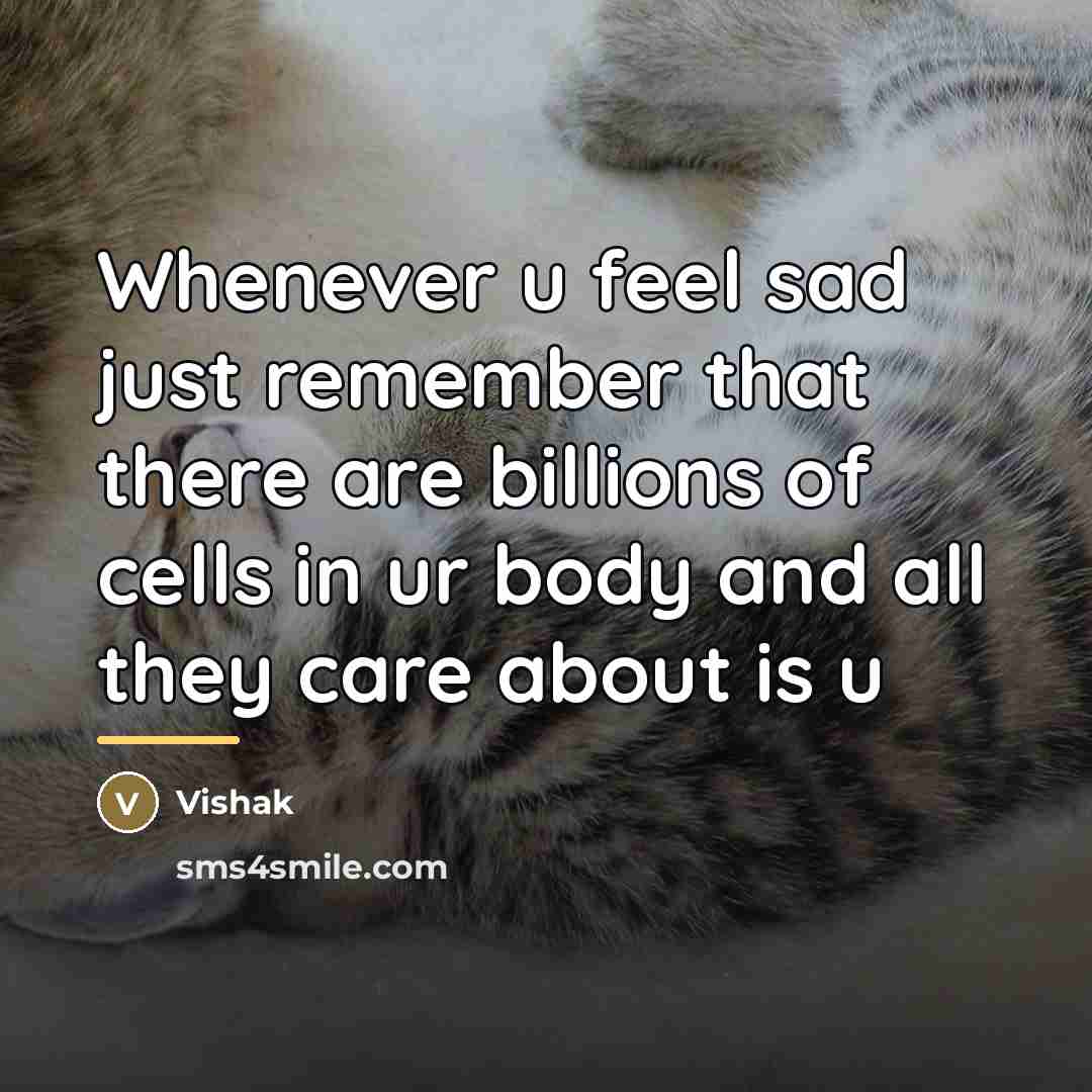 “Whenever u feel sad just remember that there are billions…” quote by Vishak