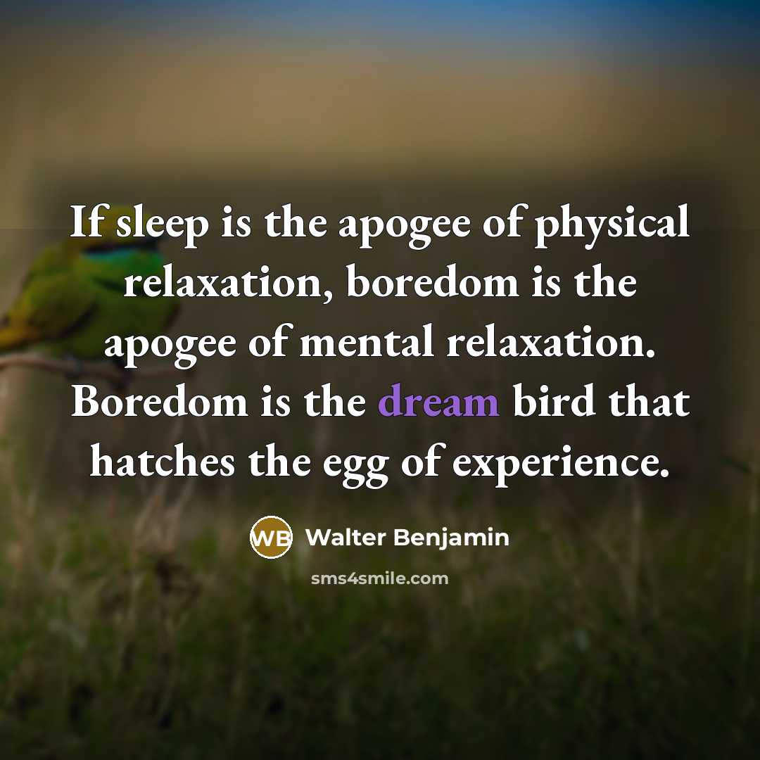 “If sleep is the apogee of physical relaxation, boredom is…” quote by Walter Benjamin