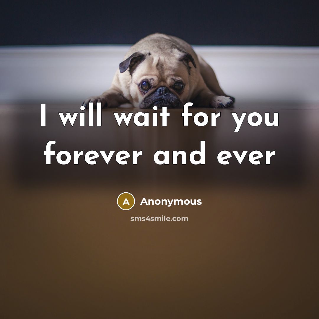 “I will wait for you forever and ever” quote by Anonymous