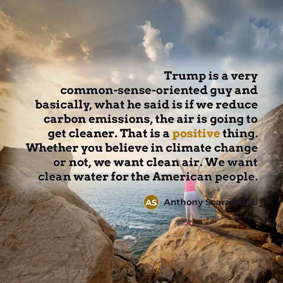 “Trump is a very common-sense-oriented guy and basically, what he…” quote by Anthony Scaramucci