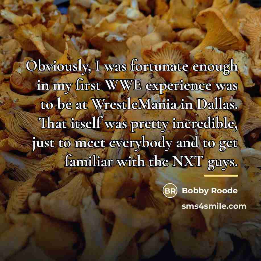 “Obviously, I was fortunate enough in my first WWE experience…” quote by Bobby Roode