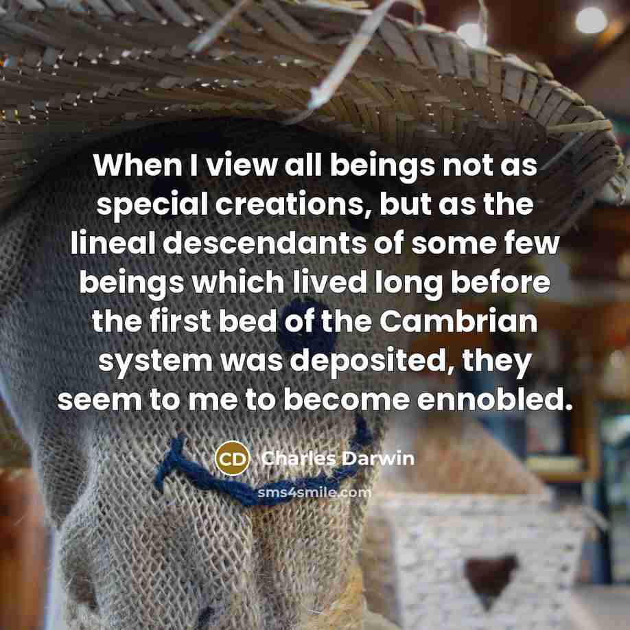 “When I view all beings not as special creations, but…” quote by Charles Darwin