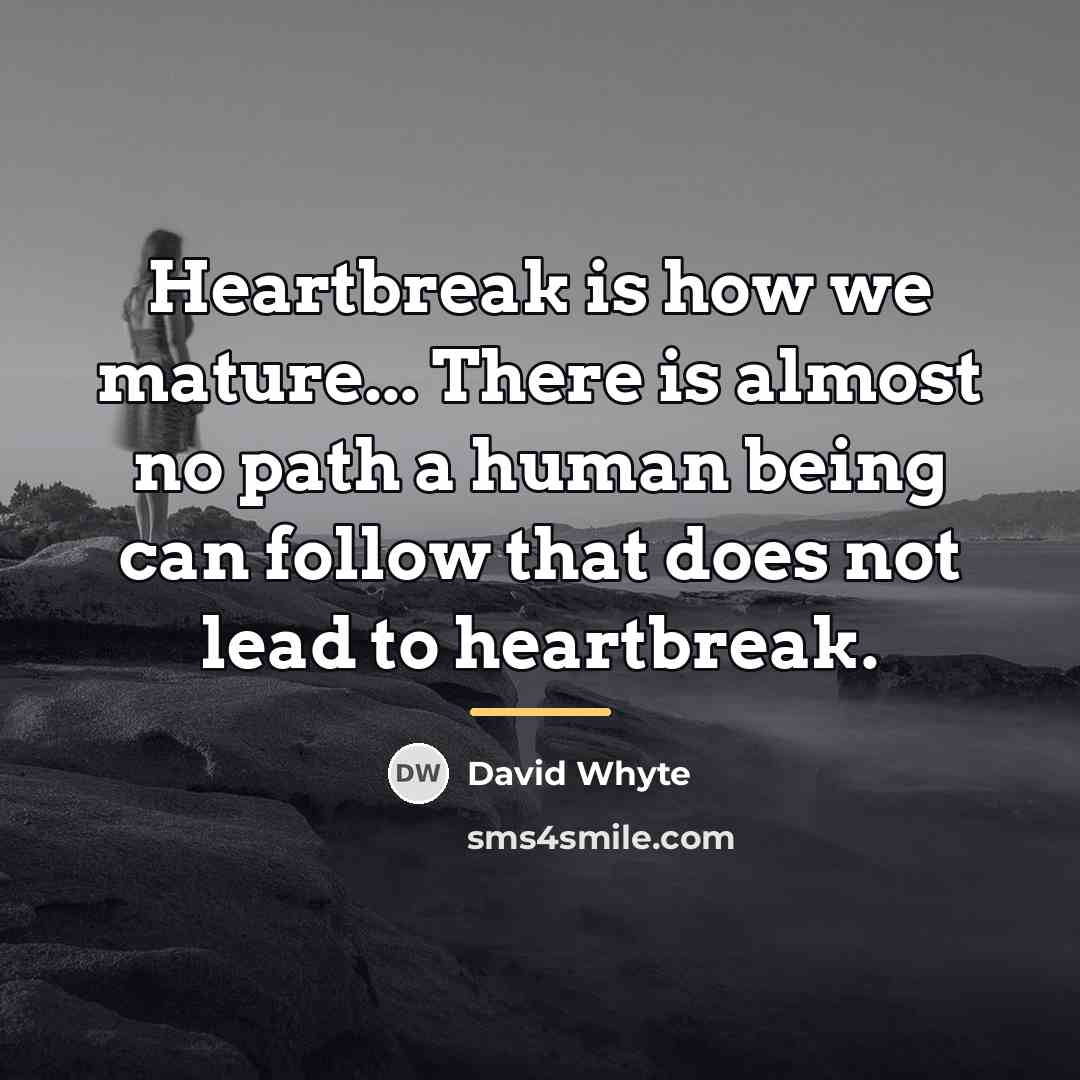 “Heartbreak is how we mature... There is almost no path…” quote by David Whyte