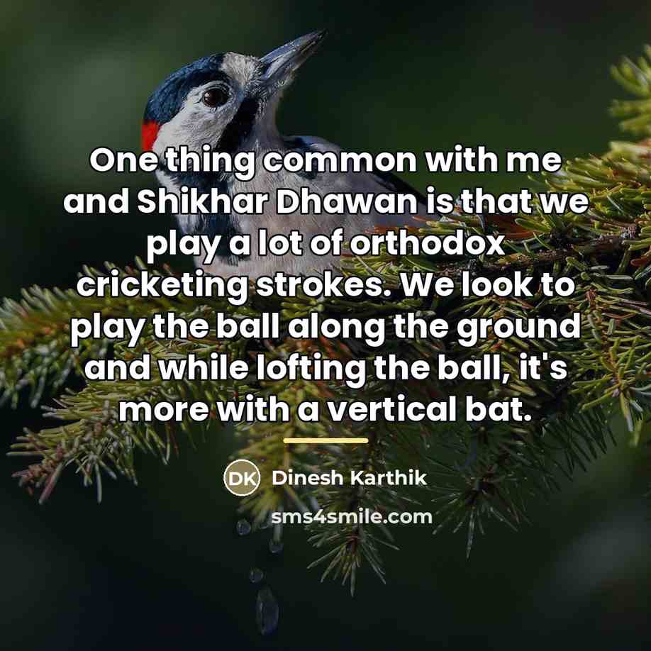 “One thing common with me and Shikhar Dhawan is that…” quote by Dinesh Karthik