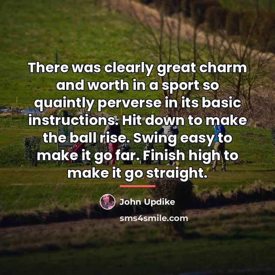 “There was clearly great charm and worth in a sport…” quote by John Updike