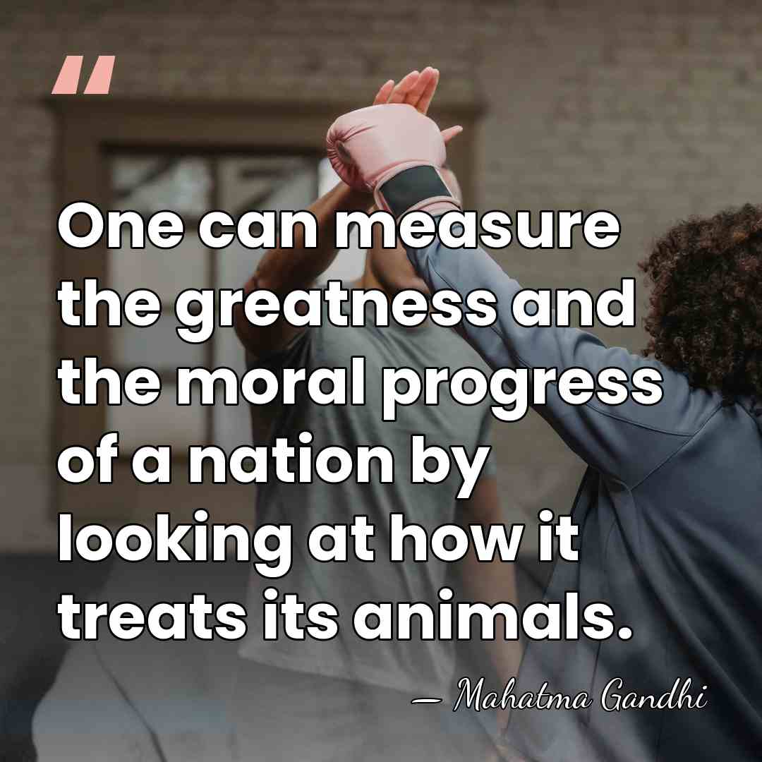 One can measure the greatness and the moral progress of a nation&hellip; - Mahatma Gandhi