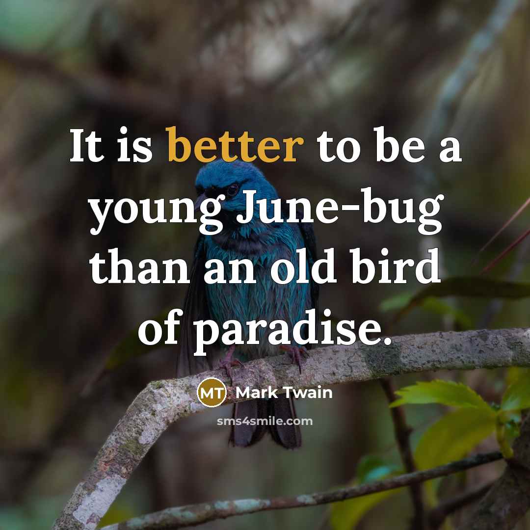 “It is better to be a young June-bug than an old bird of paradise.” quote by Mark Twain