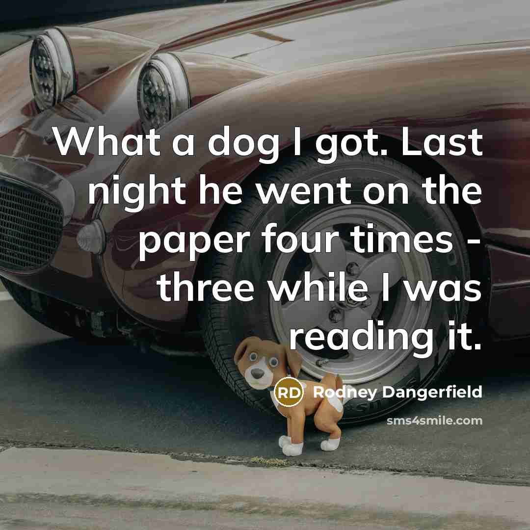 “What a dog I got. Last night he went on…” quote by Rodney Dangerfield