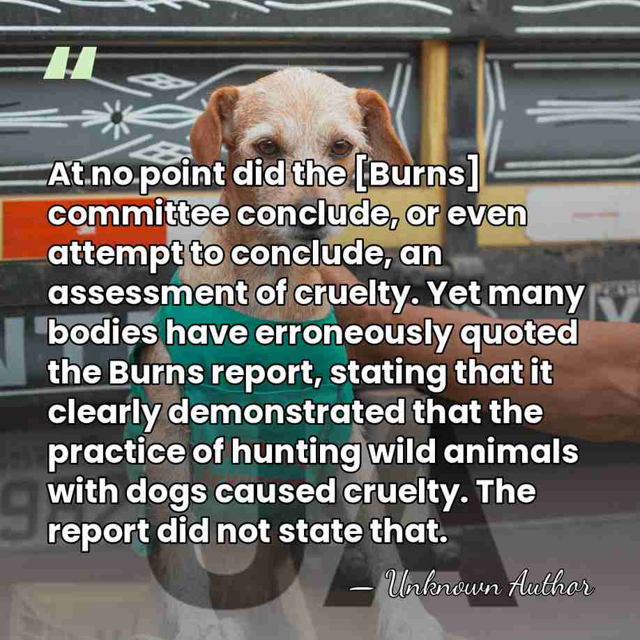 At no point did the [Burns] committee conclude, or even attempt to&hellip; - Lawson Soulsby, Baron Soulsby of Swaffham Prior