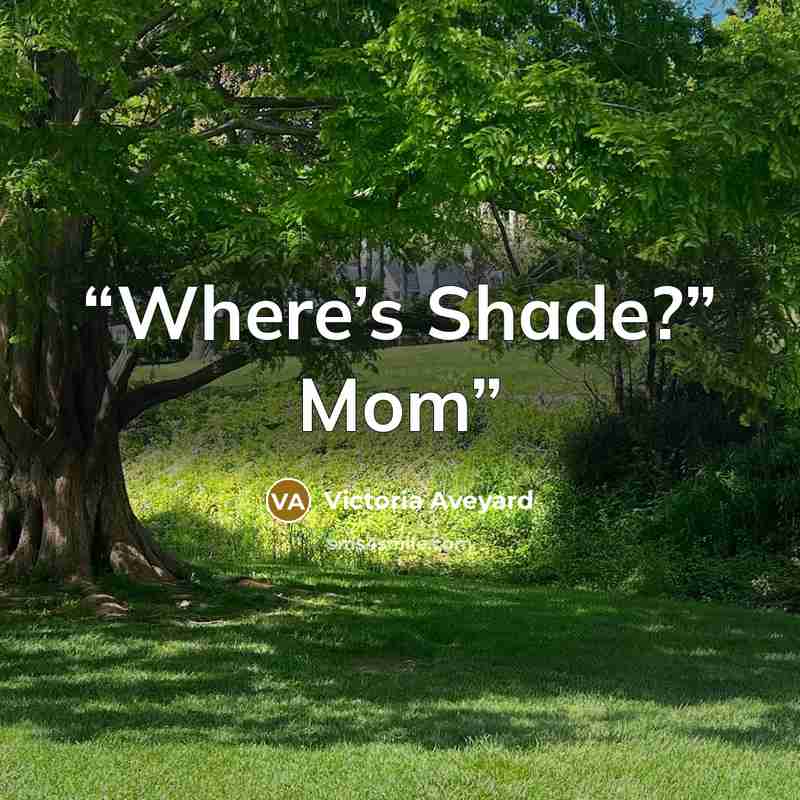 “Where’s Shade?” Mom” quote by Victoria Aveyard