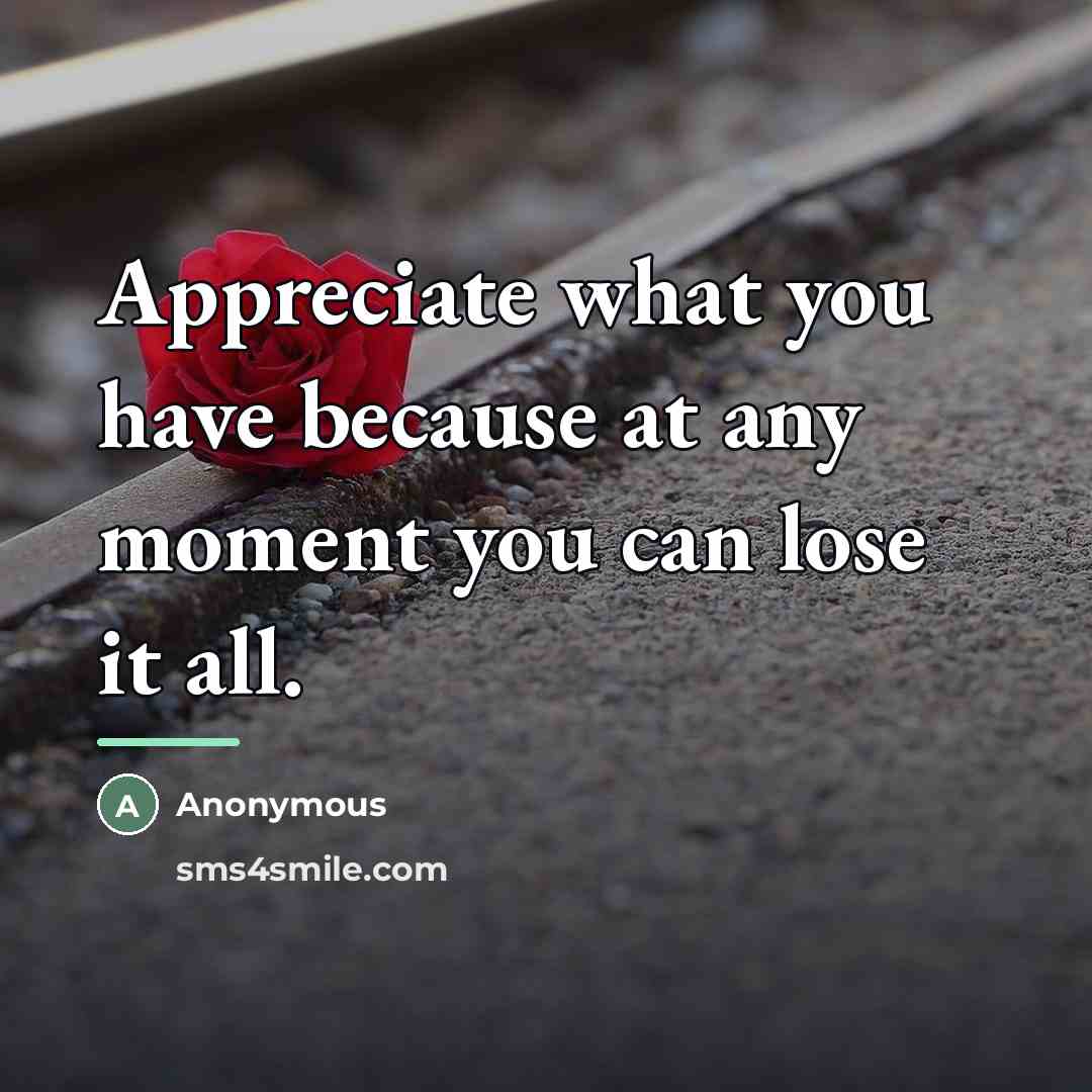 “Appreciate what you have because at any moment you can…” quote by Anonymous