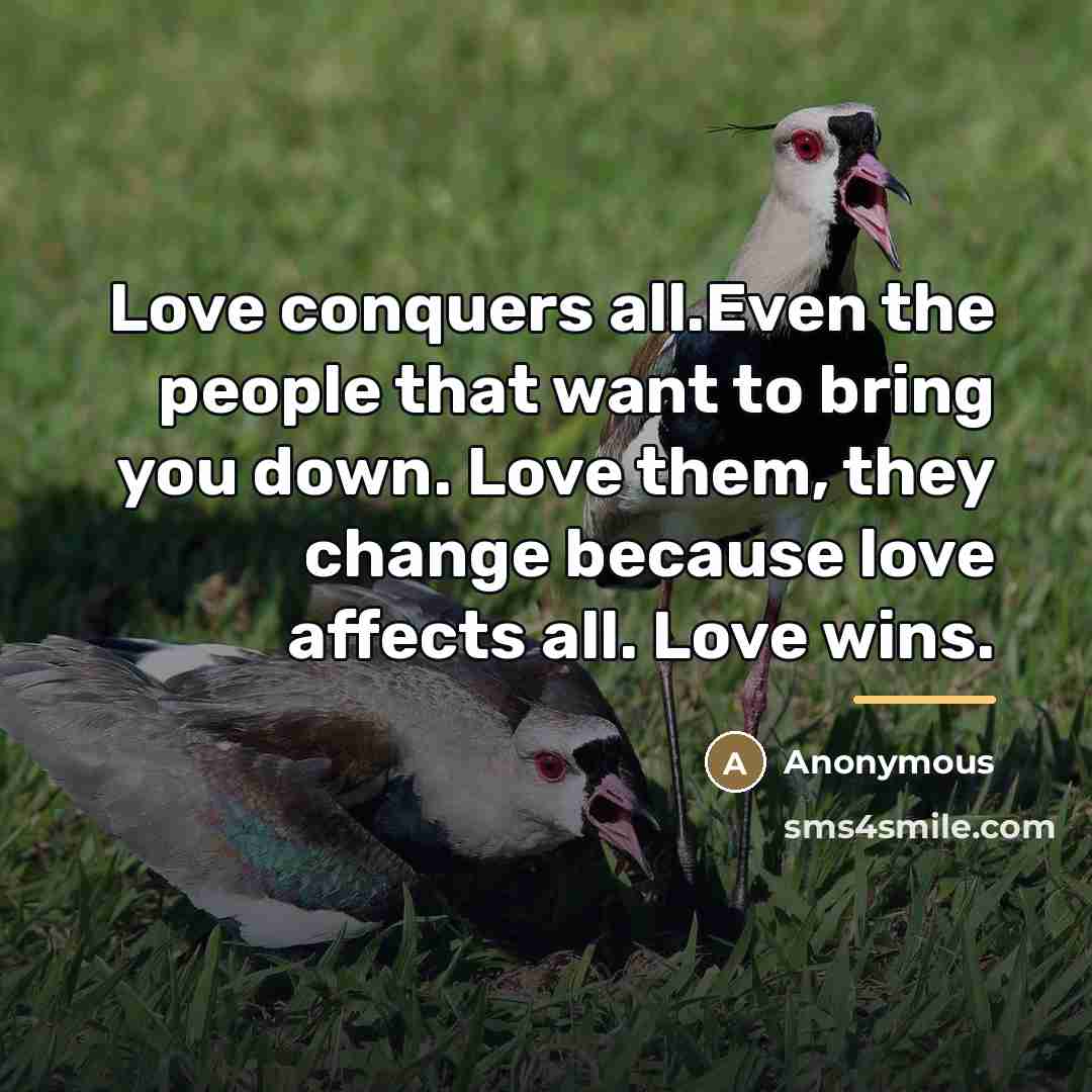 “Love conquers all.Even the people that want to bring you…” quote by Anonymous