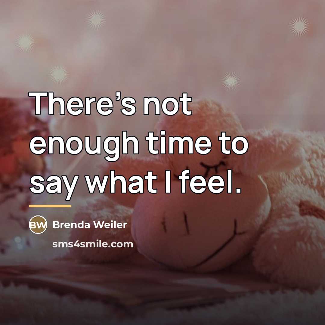“There's not enough time to say what I feel.…” quote by Brenda Weiler