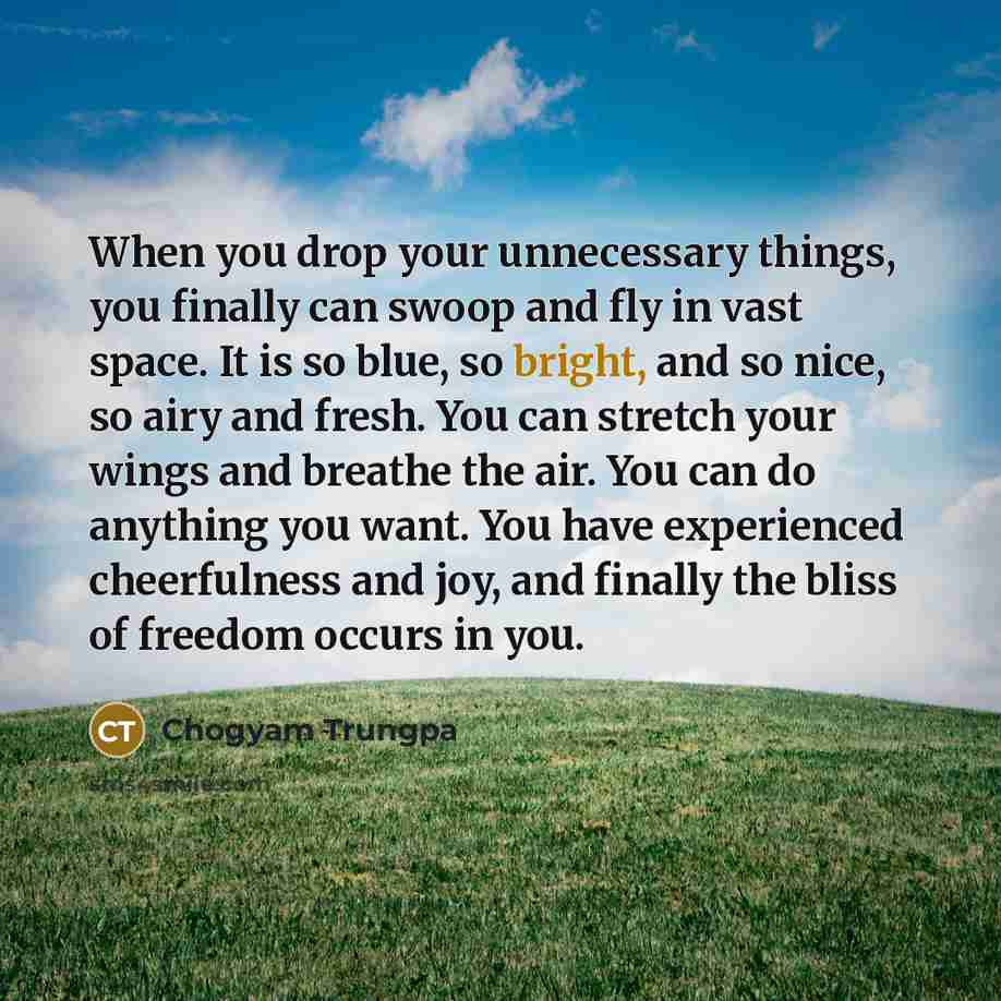 “When you drop your unnecessary things, you finally can swoop…” quote by Chogyam Trungpa