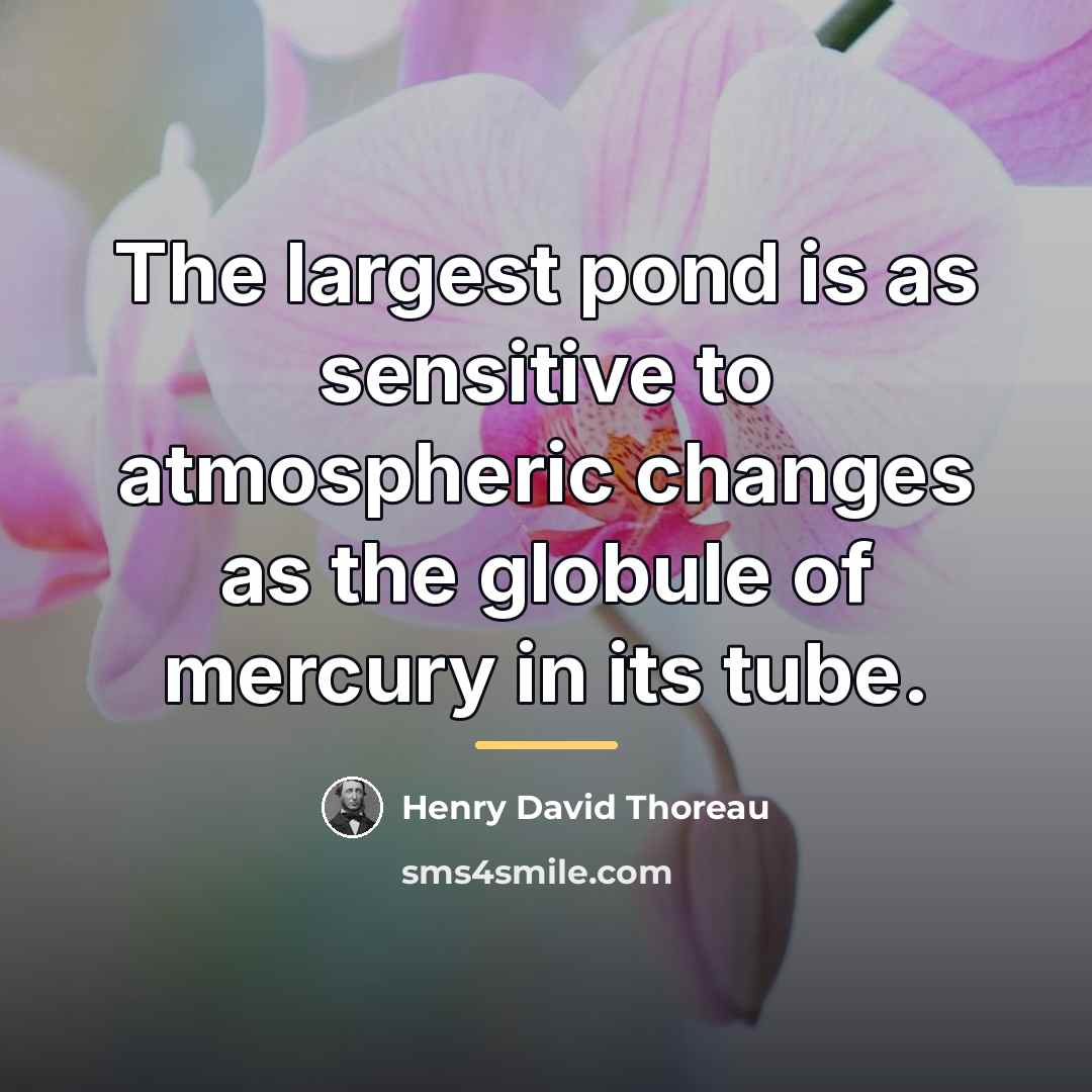 “The largest pond is as sensitive to atmospheric changes as…” quote by Henry David Thoreau