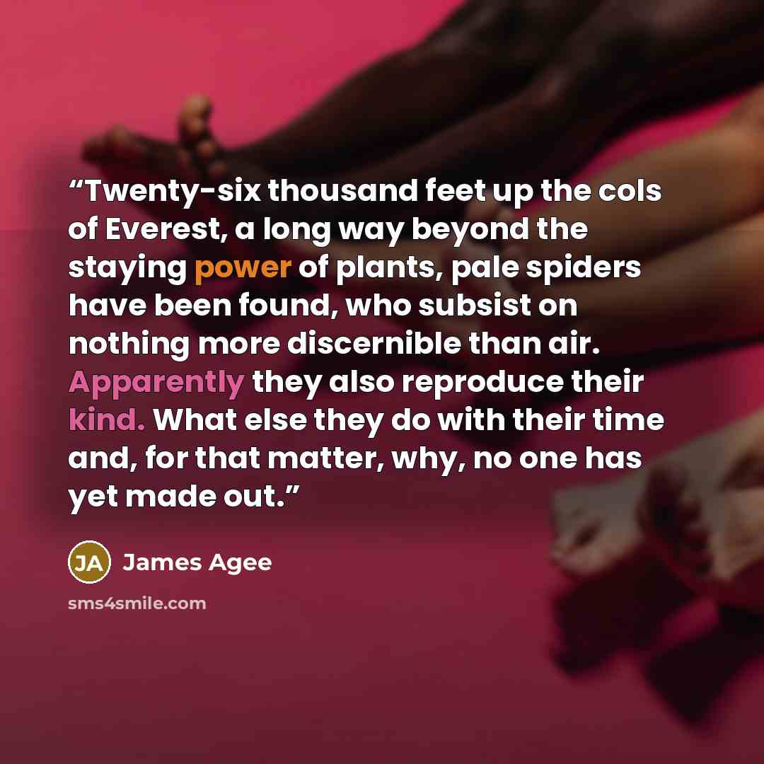 “Twenty-six thousand feet up the cols of Everest, a long way beyond the staying power of plants, pale spiders have been found, who subsist on nothing more discernible than air. Apparently they also reproduce their kind. What else they do with their time and, for that matter, why, no one has yet…” quote by James Agee