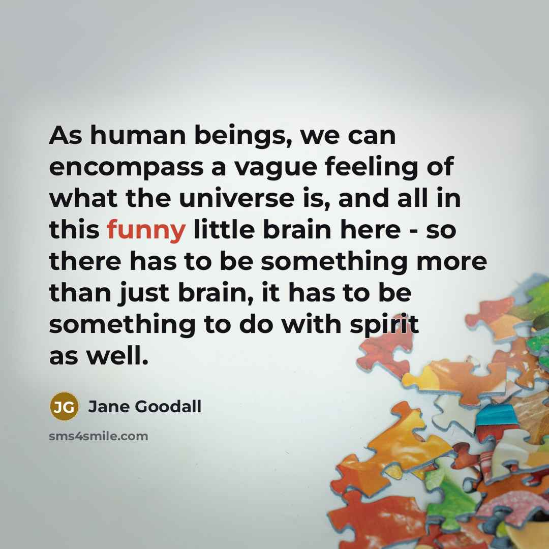 “As human beings, we can encompass a vague feeling of…” quote by Jane Goodall