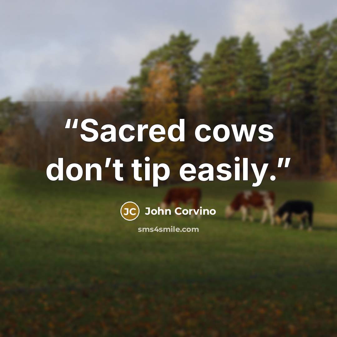 “Sacred cows don’t tip easily.” quote by John Corvino