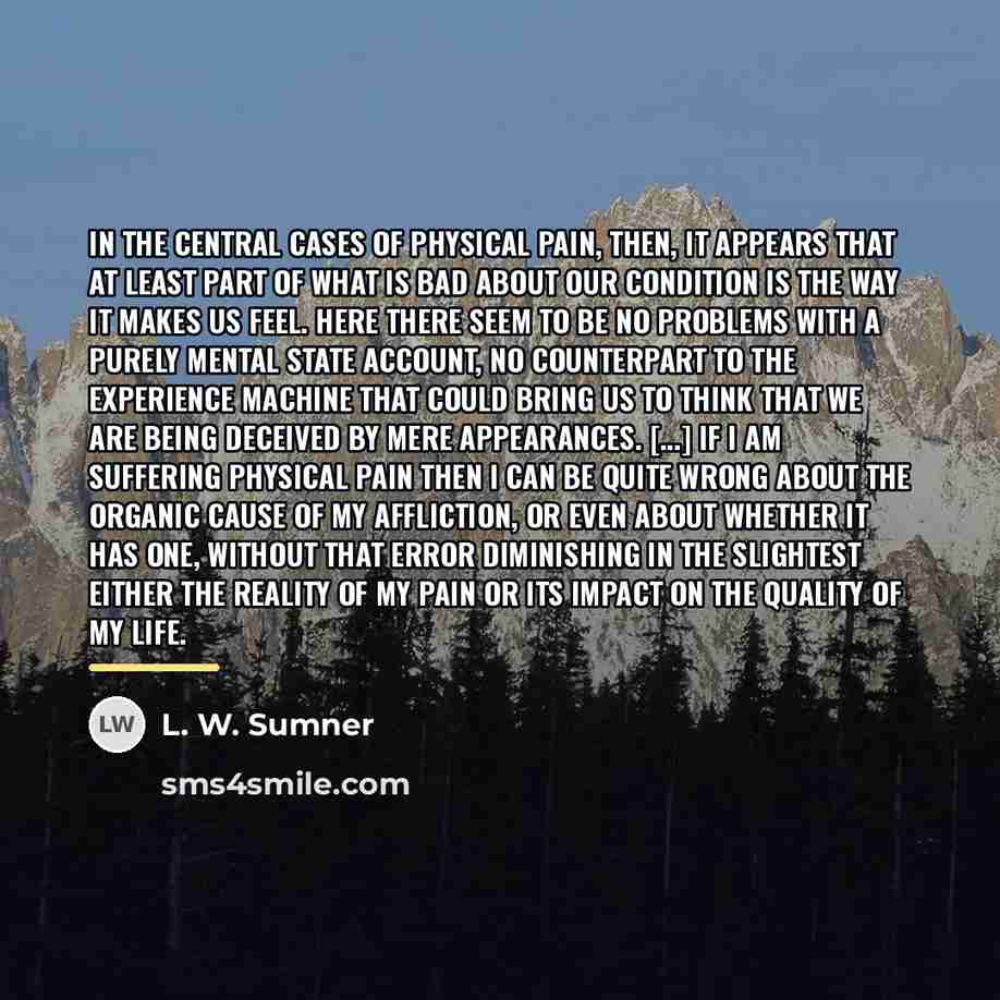 “In the central cases of physical pain, then, it appears…” quote by L. W. Sumner