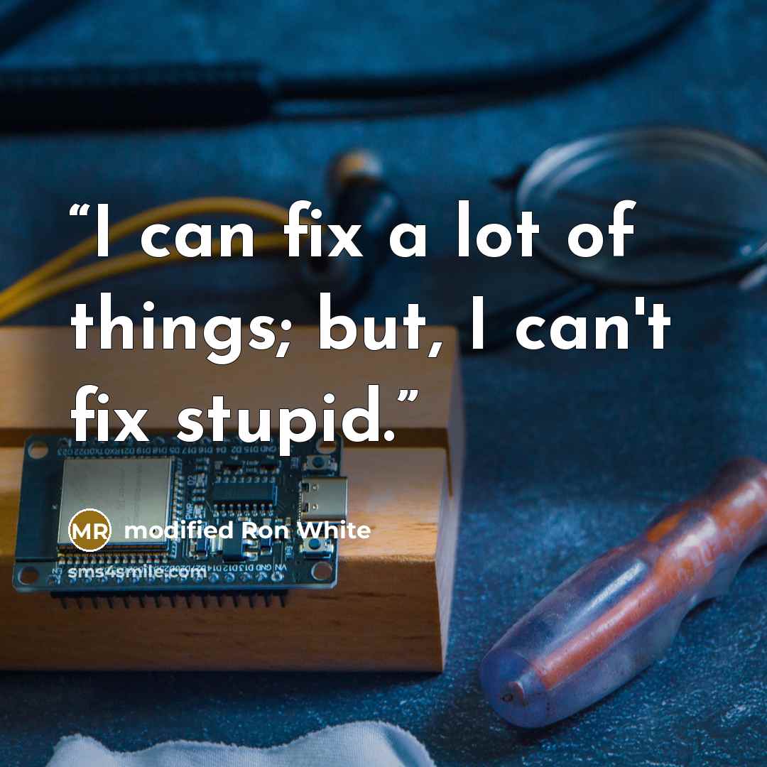 “I can fix a lot of things; but, I can't fix stupid.” quote by modified Ron White