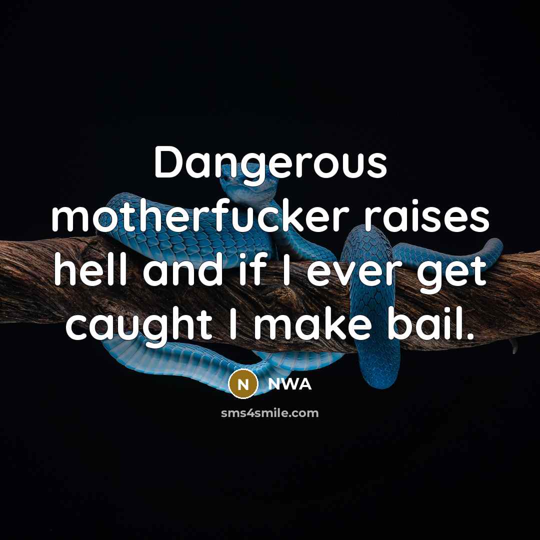 “Dangerous motherfucker raises hell and if I ever get caught…” quote by NWA