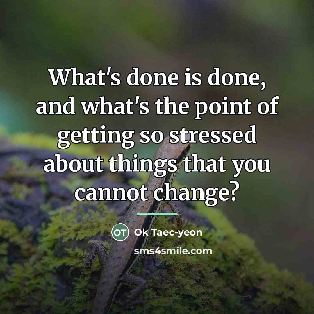 “What's done is done, and what's the point of getting…” quote by Ok Taec-yeon