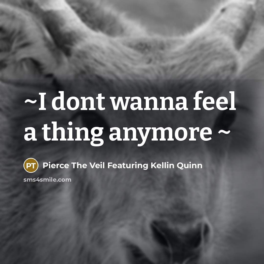 “~I dont wanna feel a thing anymore ~” quote by Pierce The Veil Featuring Kellin Quinn