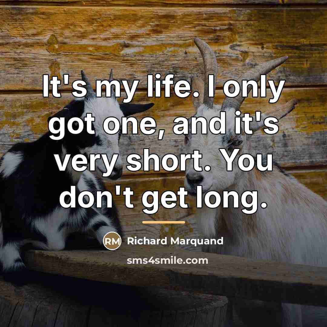 “It's my life. I only got one, and it's very…” quote by Richard Marquand