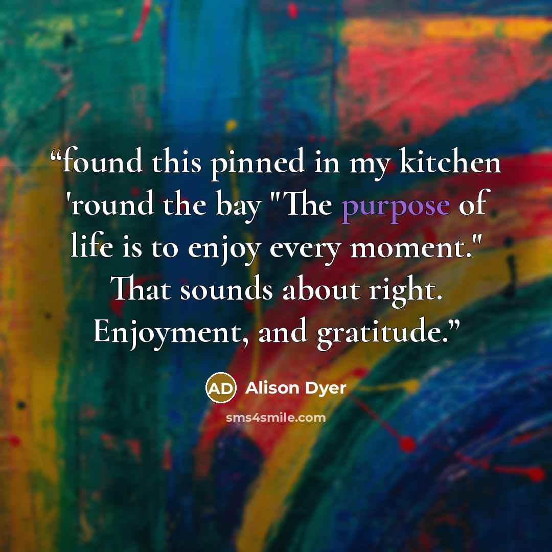 “found this pinned in my kitchen 'round the bay "The purpose of life is to enjoy every moment." That sounds about right. Enjoyment, and gratitude.” quote by Alison Dyer