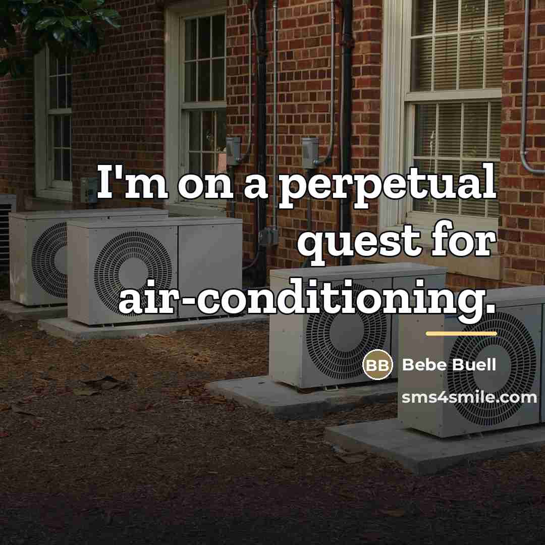 “I'm on a perpetual quest for air-conditioning.…” quote by Bebe Buell
