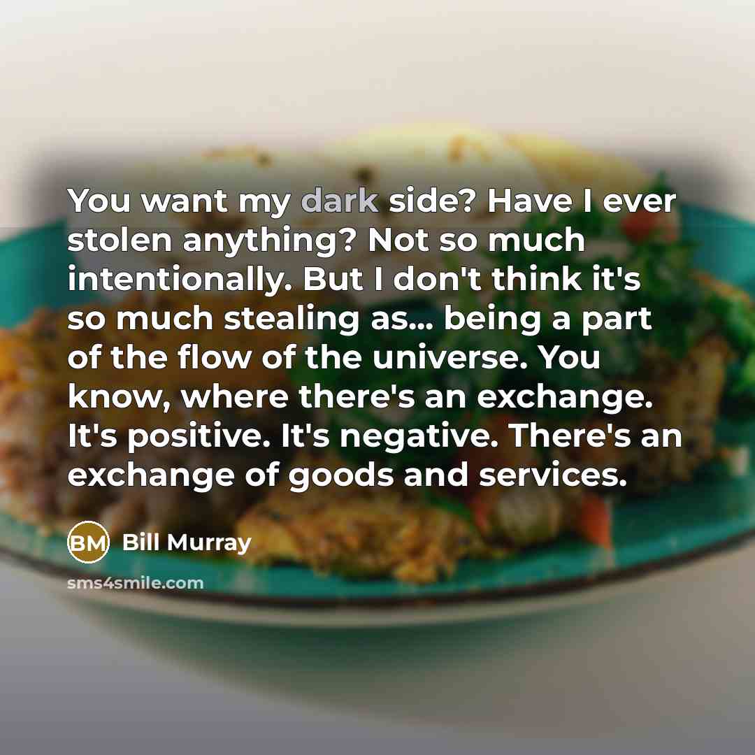 “You want my dark side? Have I ever stolen anything?…” quote by Bill Murray