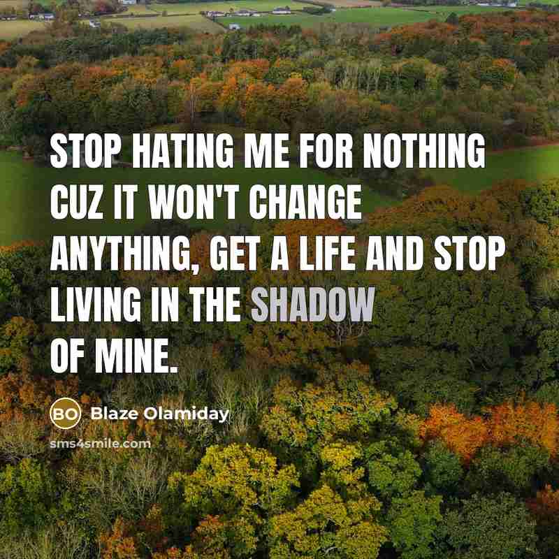 “Stop hating me for nothing cuz it won't change anything, get a life and stop living in the shadow of mine.” quote by Blaze Olamiday