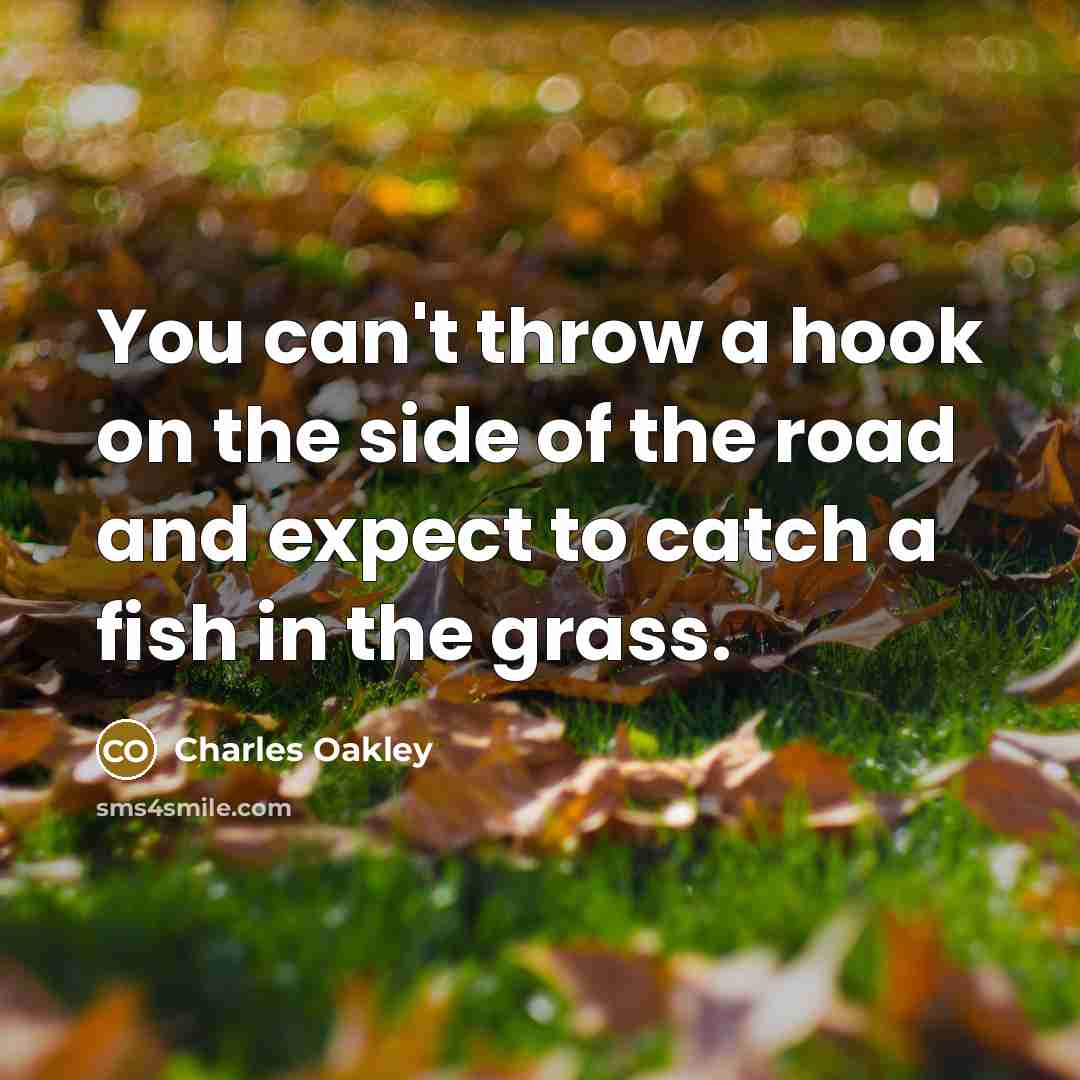 “You can't throw a hook on the side of the…” quote by Charles Oakley