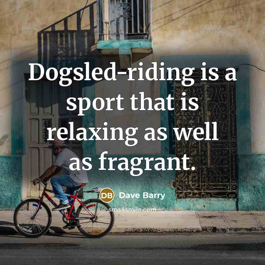 “Dogsled-riding is a sport that is relaxing as well as…” quote by Dave Barry