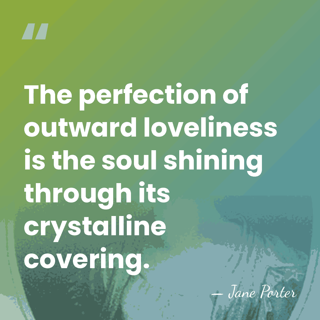 The perfection of outward loveliness is the soul shining through its crystalline&hellip; - Jane Porter
