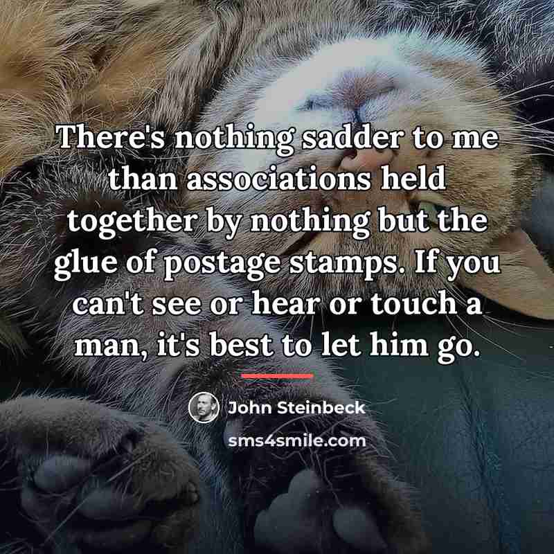 “There's nothing sadder to me than associations held together by…” quote by John Steinbeck