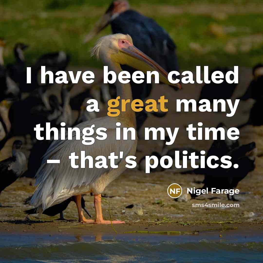“I have been called a great many things in my time – that's politics.” quote by Nigel Farage