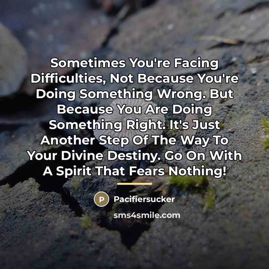 “Sometimes You're Facing Difficulties, Not Because You're Doing Something Wrong.…” quote by Pacifiersucker
