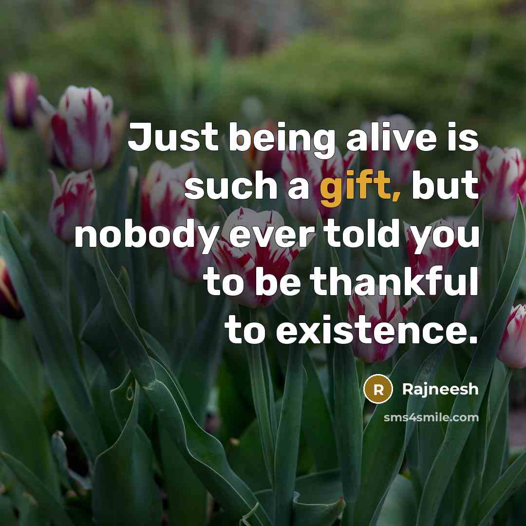 “Just being alive is such a gift, but nobody ever…” quote by Rajneesh