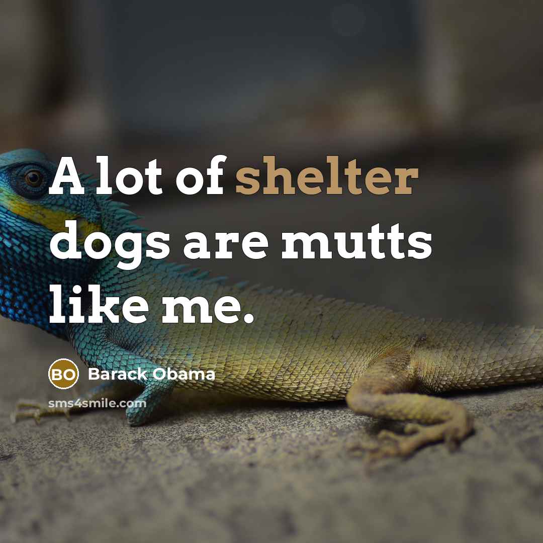 “A lot of shelter dogs are mutts like me.” quote by Barack Obama