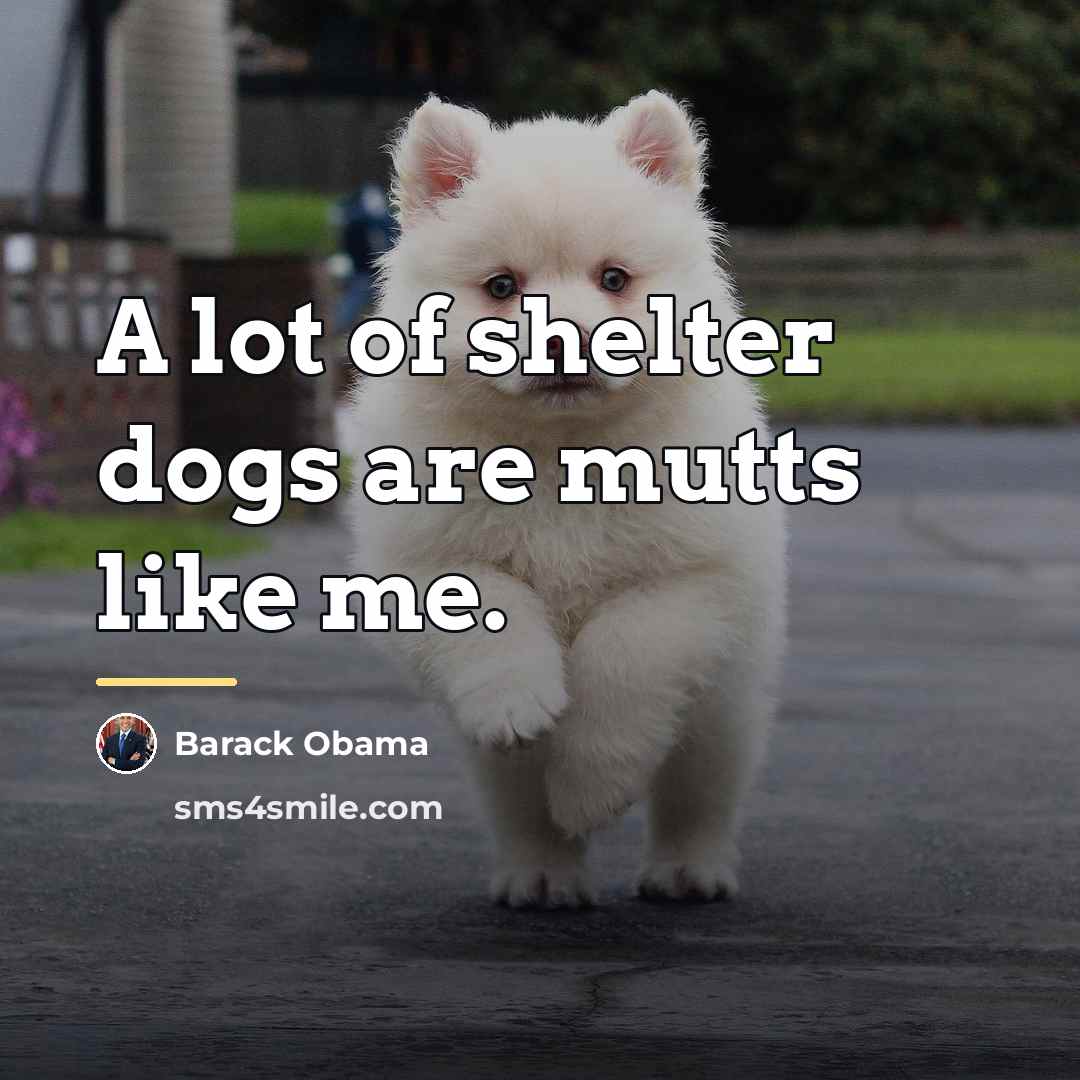 “A lot of shelter dogs are mutts like me.…” quote by Barack Obama