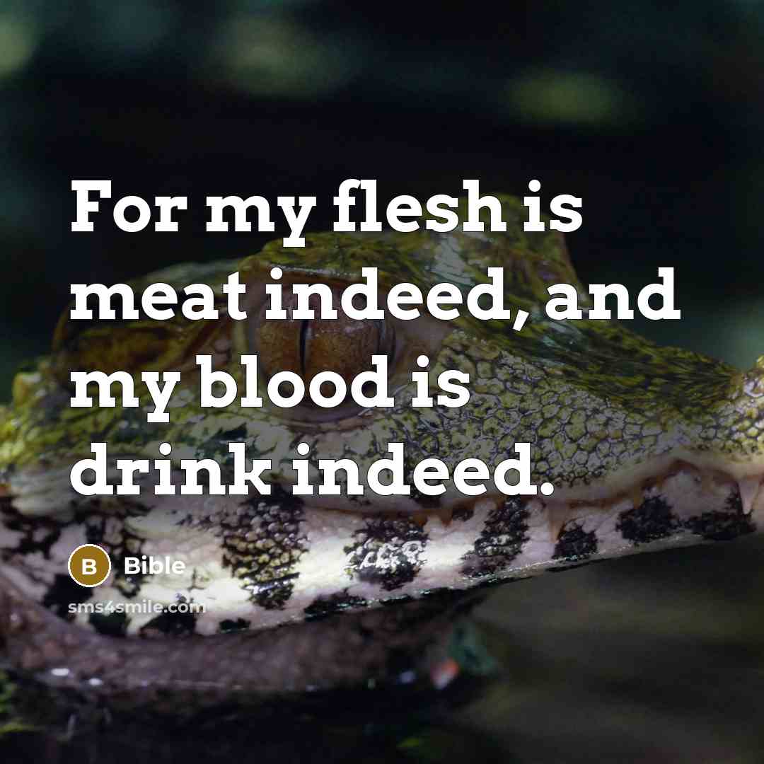 “For my flesh is meat indeed, and my blood is…” quote by Bible
